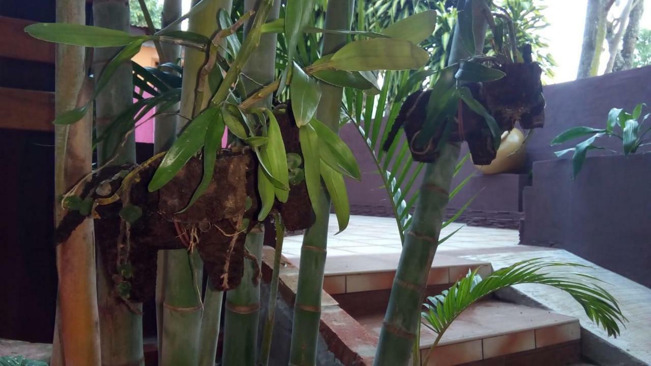 El Uru Suite Hotel Puerto Iguazú Exteriör bild